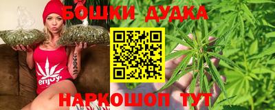 индика Можга