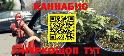 прущие грибы Малоярославец