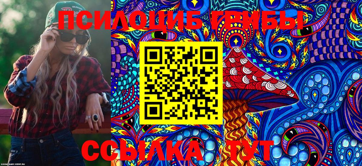 Дмитров  Галлюциногенные грибы Psilocybe  Вход с VPN 