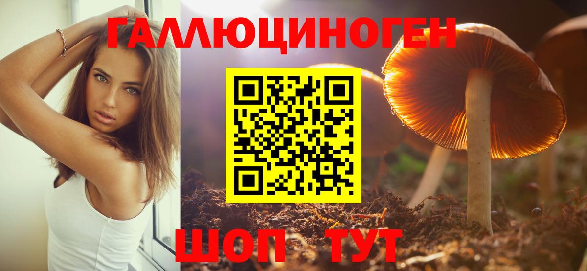 Псилоцибиновые грибы мухоморы Дмитров